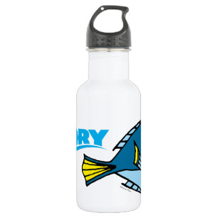 Dory Cartoon 532 Ml Water Bottle