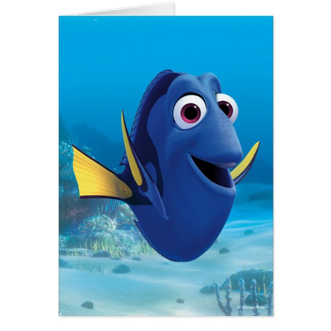 Dory | Recherche de Dory (Devant)