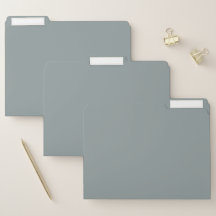 Couleur 919D9D