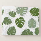 Feuilles Monstera