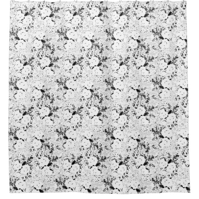 Dot, Black Cow (Front)