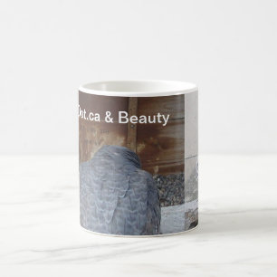 Dot.ca et tasse de beauté