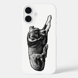 Dot-Texture Dog Case