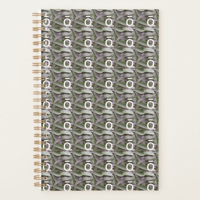 dōTERRA Ō Planificateur Eucalyptus (Devant)