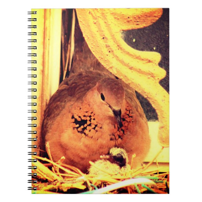 Doting Mama Dove Notebook (Front)