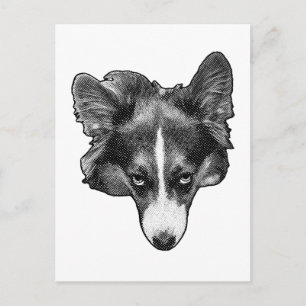 dotted calm eyes postcard