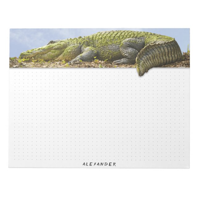 Dotted - Nature Photography Huge Gator Panoramic  Notepad (Front)