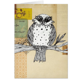 Dotti le hibou 26