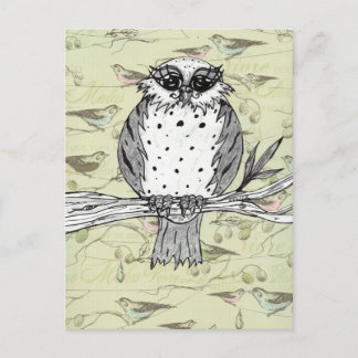Dotti the Owl 33 Postcard
