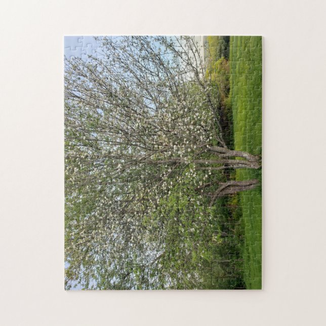 double apple blossoms tree jigsaw puzzle (Vertical)