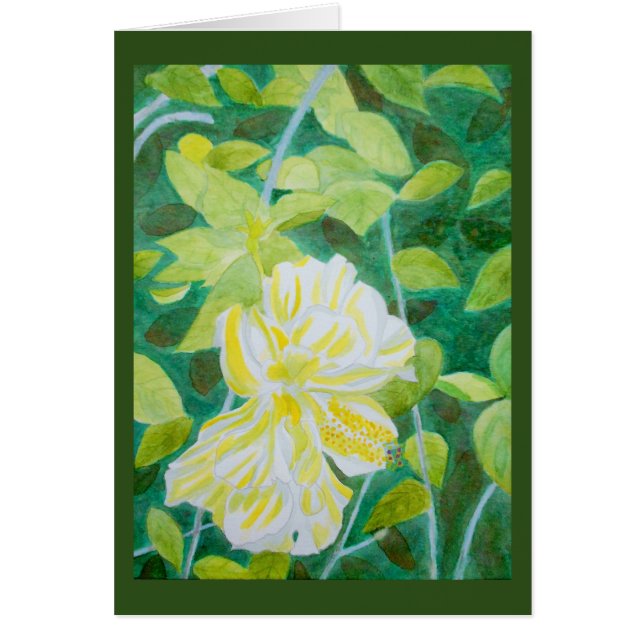 Double aquarelle blanche de fleur de ketmie (Devant)