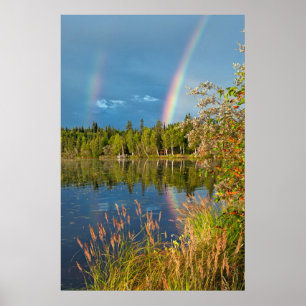 Double arc-en-ciel - affiche de lac birch