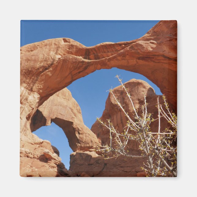 Double Arch at Arches National Park Magnet (Front)