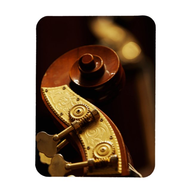 Double bass headstock 2 magnet (Vertical)