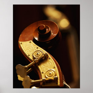 Double bass headstock 2 poster