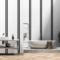 Double Black Stripes On White