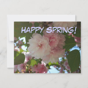 Double Blossoming Cherry Tree I Spring Floral Card
