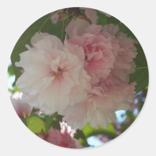 Double Blossoming Cherry Tree I Spring Floral Classic Round Sticker