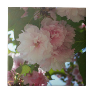 Double Blossoming Cherry Tree I Spring Floral Tile