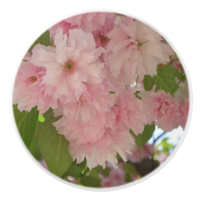 Double Blossoming Cherry Tree II Spring Floral Ceramic Knob (Front)