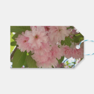 Double Blossoming Cherry Tree II Spring Floral Gift Tags
