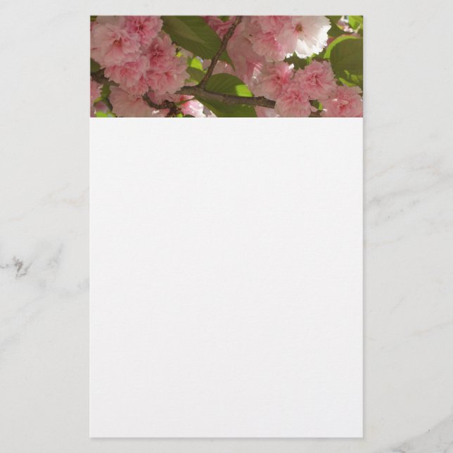 Double Blossoming Cherry Tree III Spring Floral Stationery (Front)