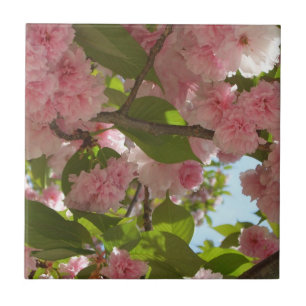 Double Blossoming Cherry Tree III Spring Floral Tile
