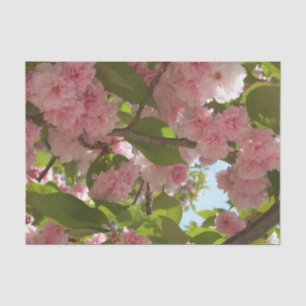Double Blossoming Cherry Tree III Spring Floral Tissue Paper