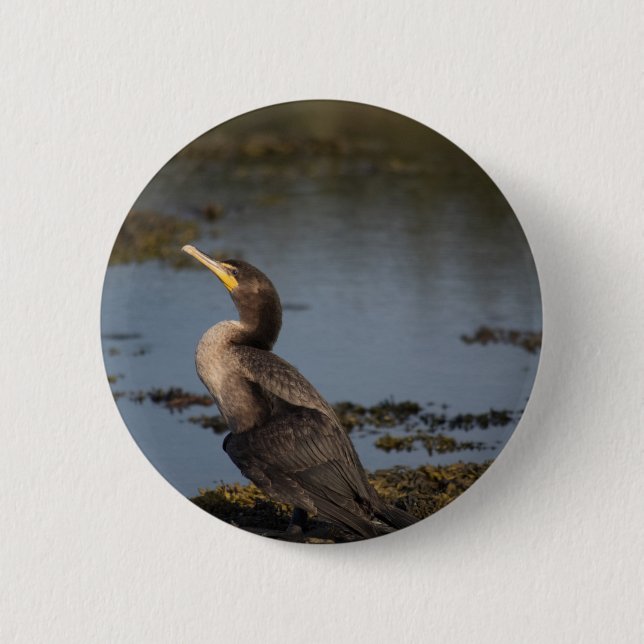 Double breasted cormorant 2 inch round button (Front)