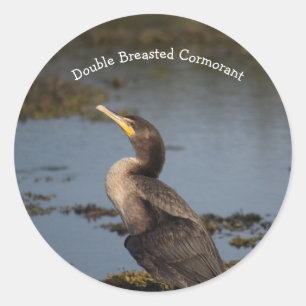 Double breasted cormorant classic round sticker