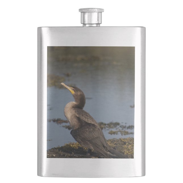 Double breasted cormorant hip flask (Front)