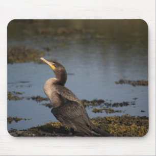Double breasted cormorant mouse pad