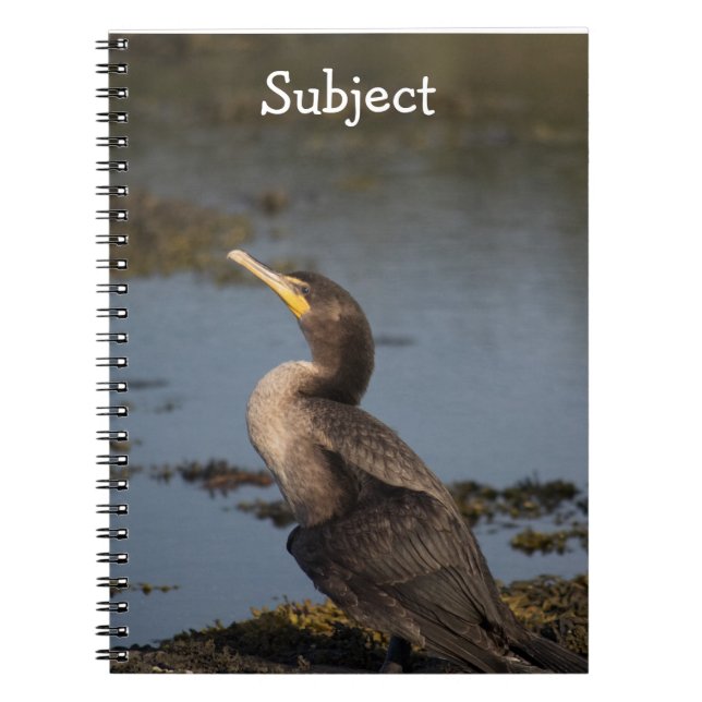 Double breasted cormorant notebook (Front)