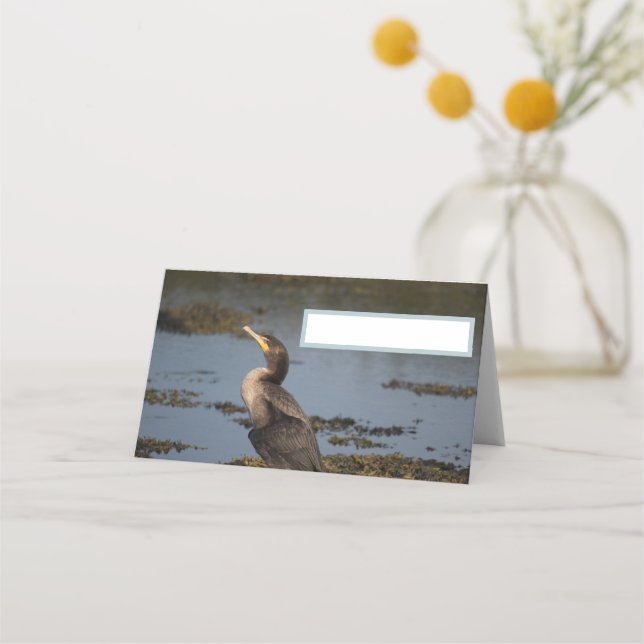 Double breasted cormorant place card (Front)