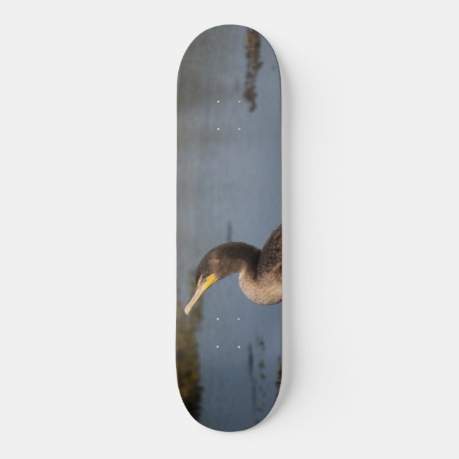 Double breasted cormorant skateboard (Front)