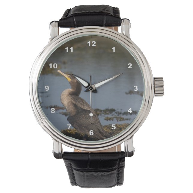 Double breasted cormorant watch (Front)