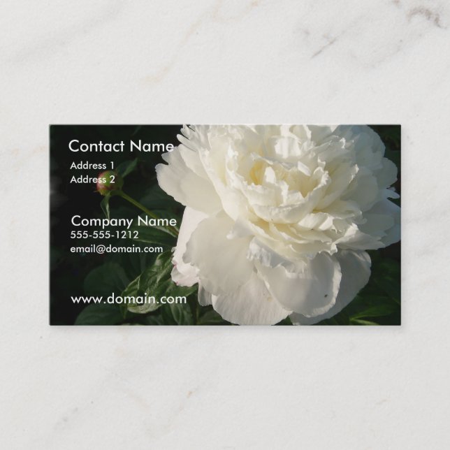 Double carte de visite blanc de pivoine (Devant)
