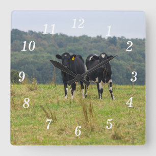 Double Cattle Trouble Wall Clock