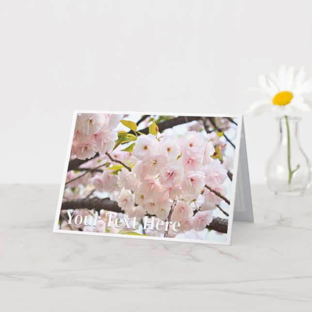 Double Cherry Blossom: Oh-jochin Card (Small Plant)