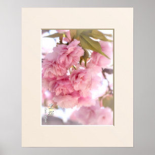 Double Cherry Blossom: Sato-zakura ポスター Poster