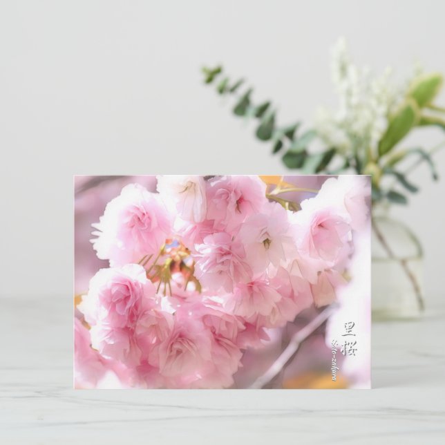 Double Cherry Blossom: Sato-zakura Card (Standing Front)