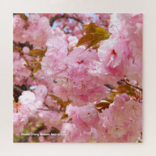 Double Cherry Blossom: Sato-zakura Jigsaw Puzzle