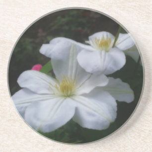 Double Clematis Floral Coaster