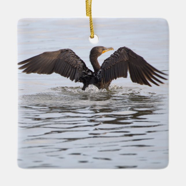 Double-crested Cormorant Ornament  (Front)