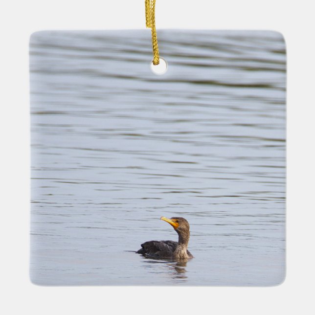 Double-crested Cormorant Ornament  (Front)