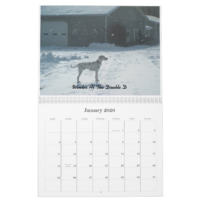Double- D- Dalmatians  2010 Calendar (Jan 2026)