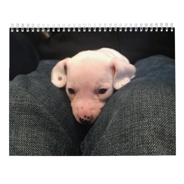 Double Dachshund Calendar (Back)