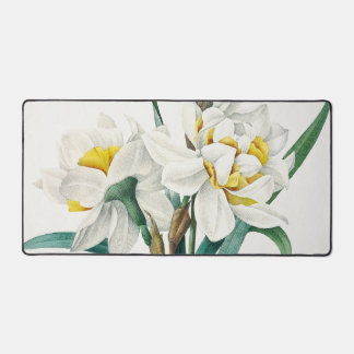 Double Daffodil,  Pierre-Joseph Redouté, 1827