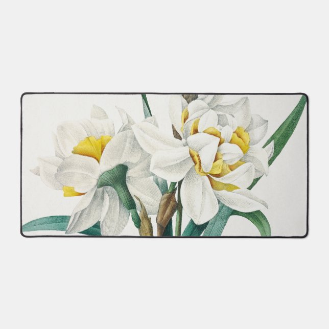 Double Daffodil,  Pierre-Joseph Redouté, 1827 (Recto)