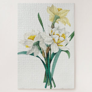 Double Daffodil, Pierre-Joseph Redouté, 1827 Jigsaw Puzzle